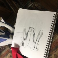 IMG_7409